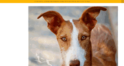 Desktop Screenshot of ibizanhoundrescue.com
