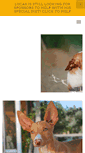 Mobile Screenshot of ibizanhoundrescue.com