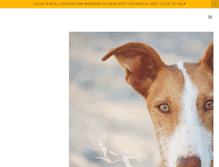 Tablet Screenshot of ibizanhoundrescue.com